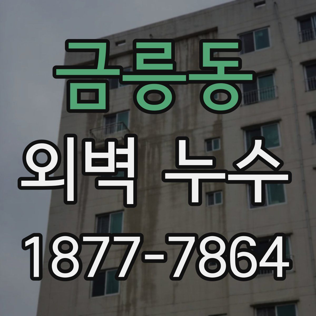 금릉동 외벽 누수