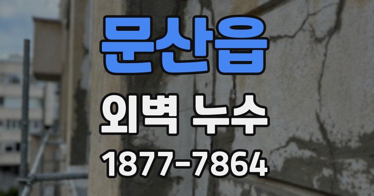 문산읍 외벽 누수