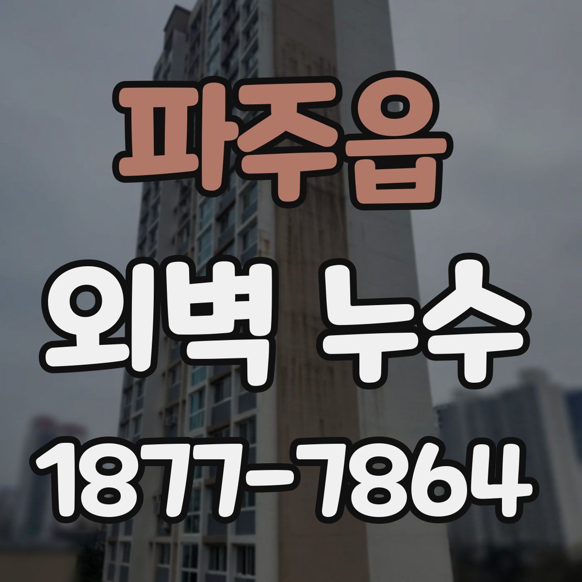 파주읍 외벽 누수