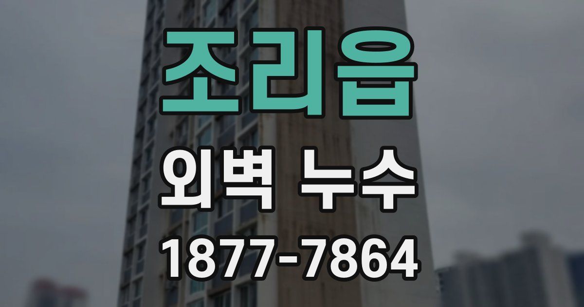 조리읍 외벽 누수