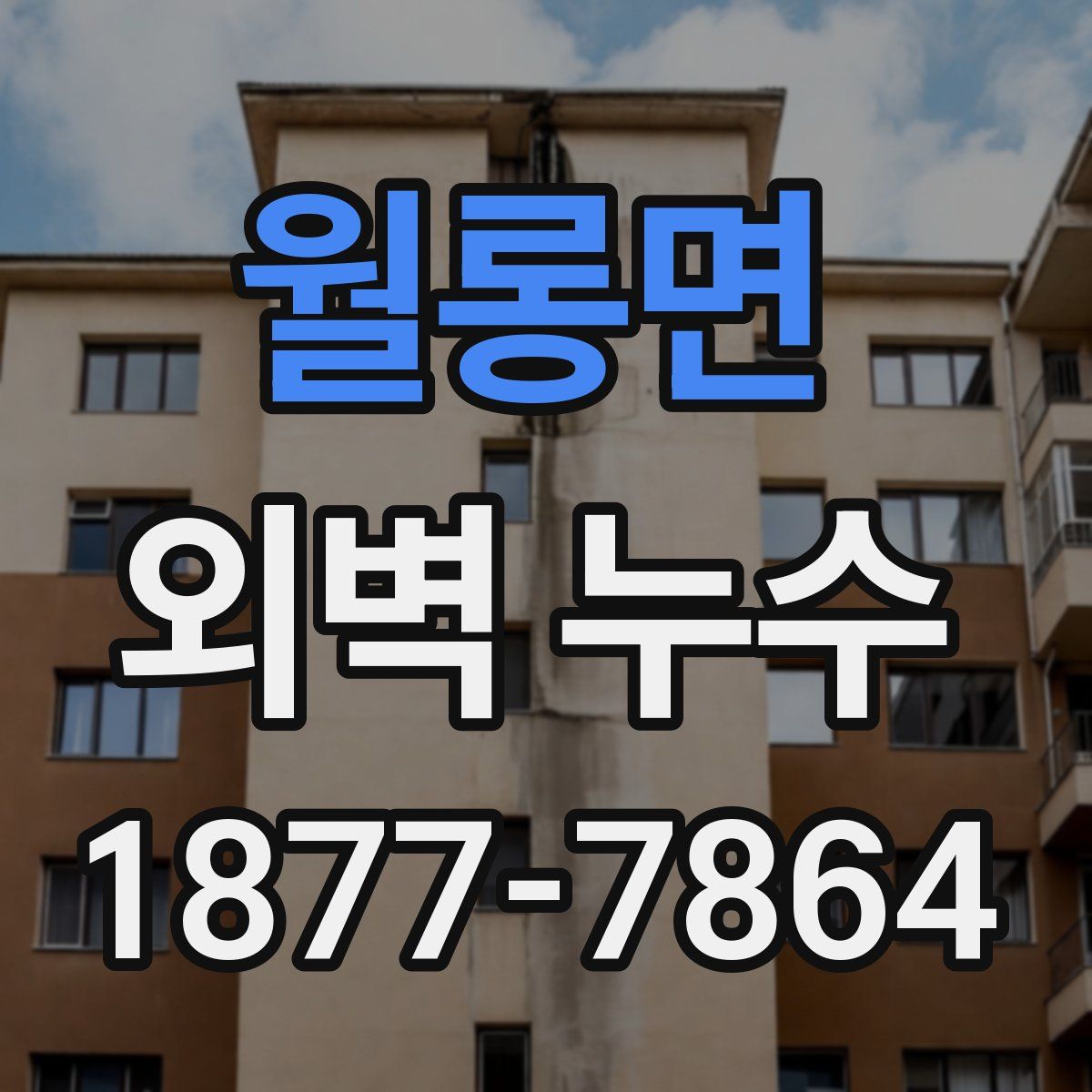 월롱면 외벽 누수