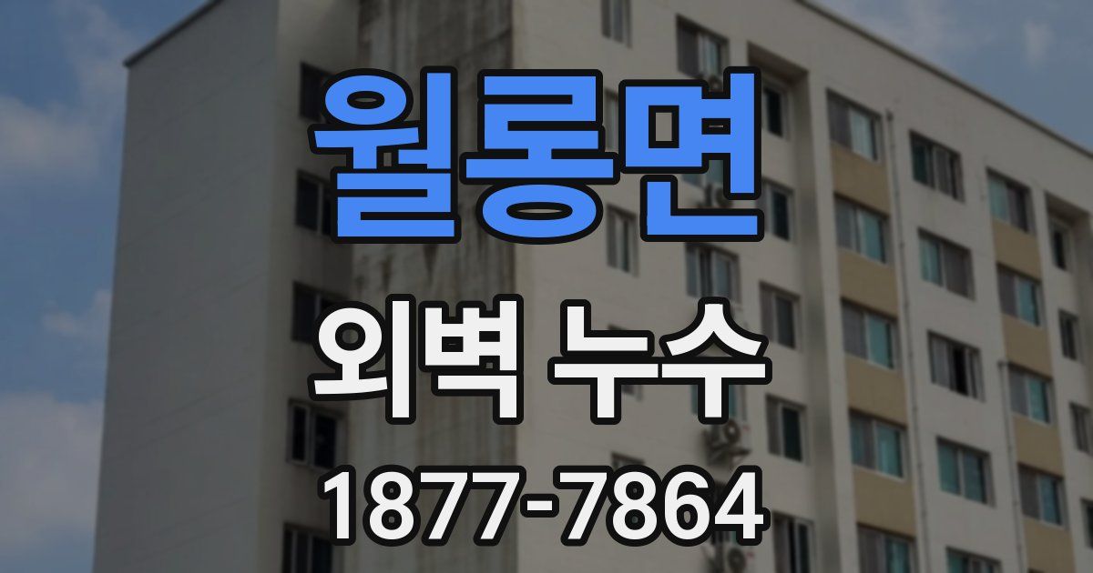 월롱면 외벽 누수