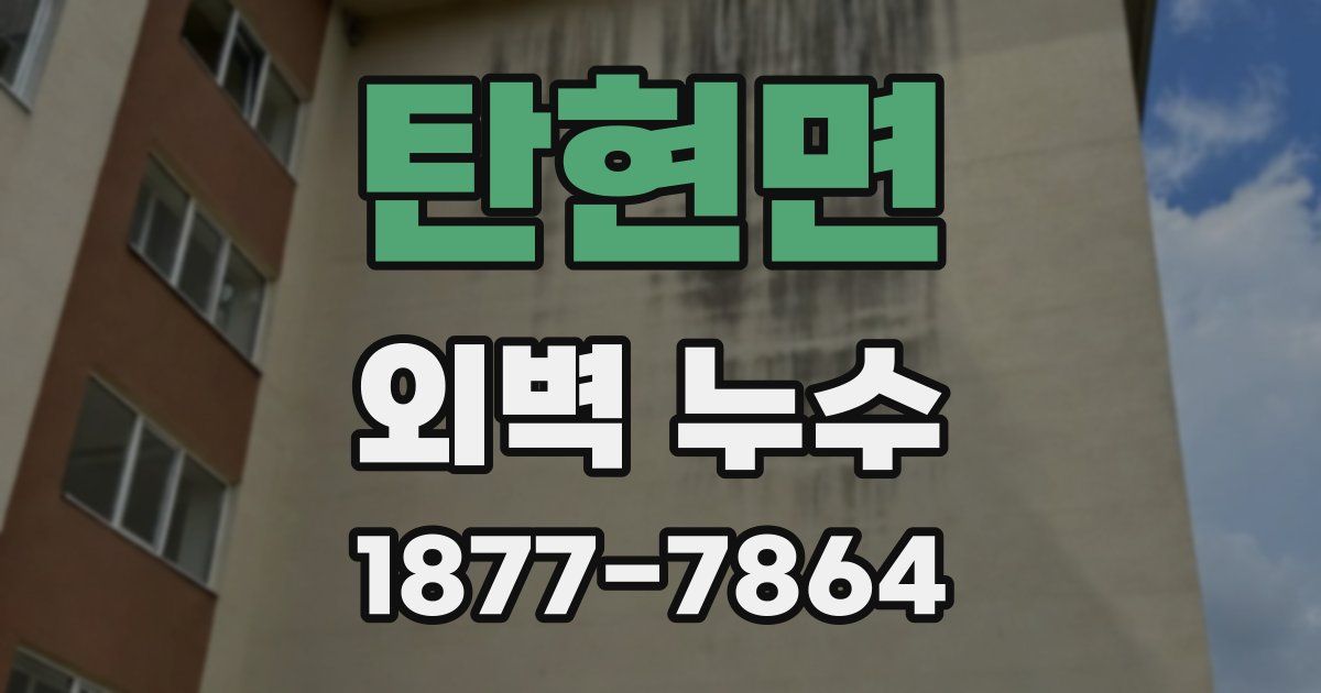 탄현면 외벽 누수