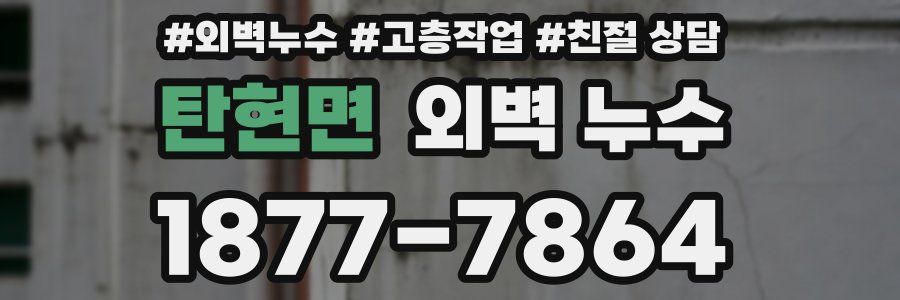 탄현면 외벽 누수