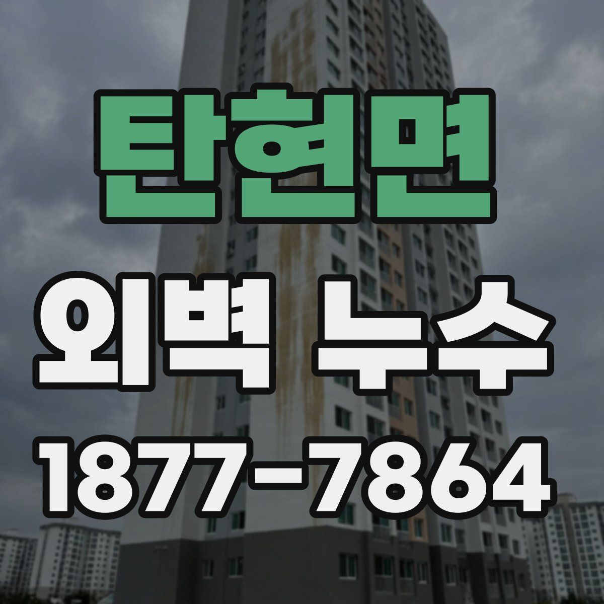 탄현면 외벽 누수