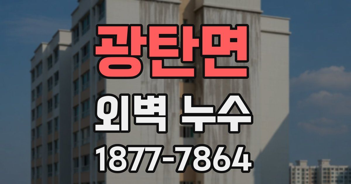 광탄면 외벽 누수