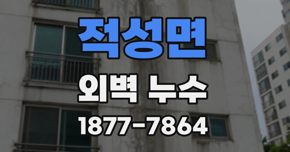 적성면 외벽 누수