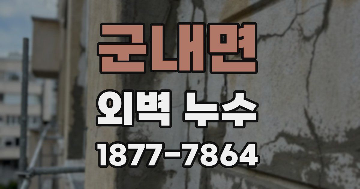 군내면 외벽 누수