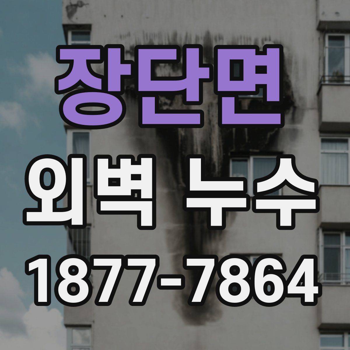 장단면 외벽 누수