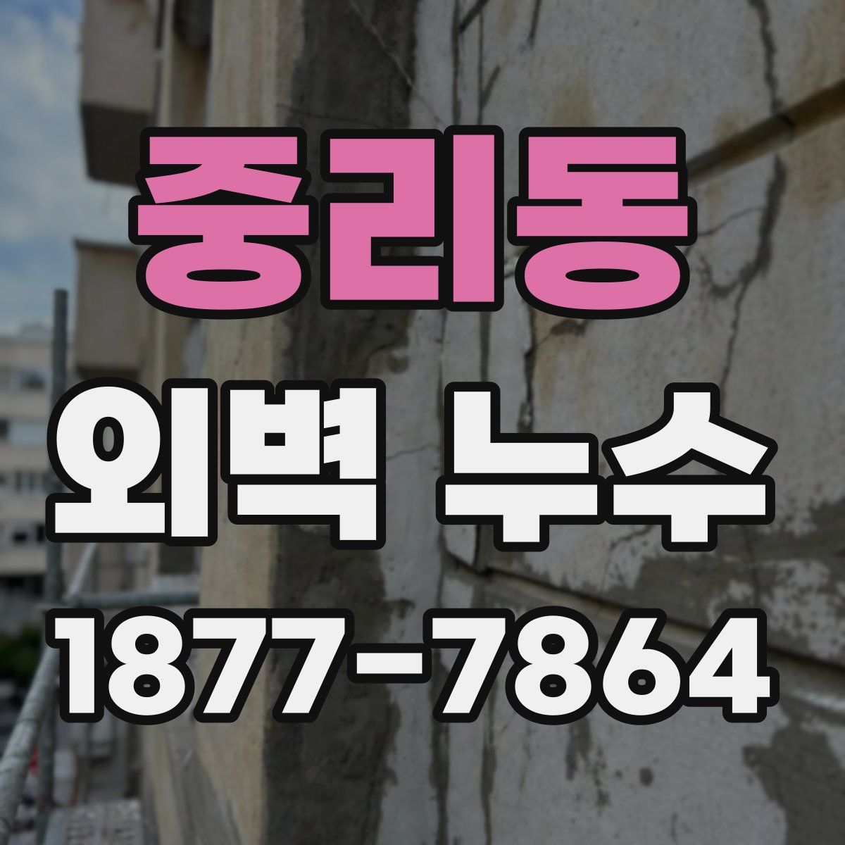 중리동 외벽 누수