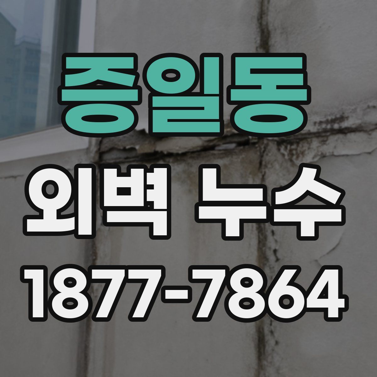 증일동 외벽 누수