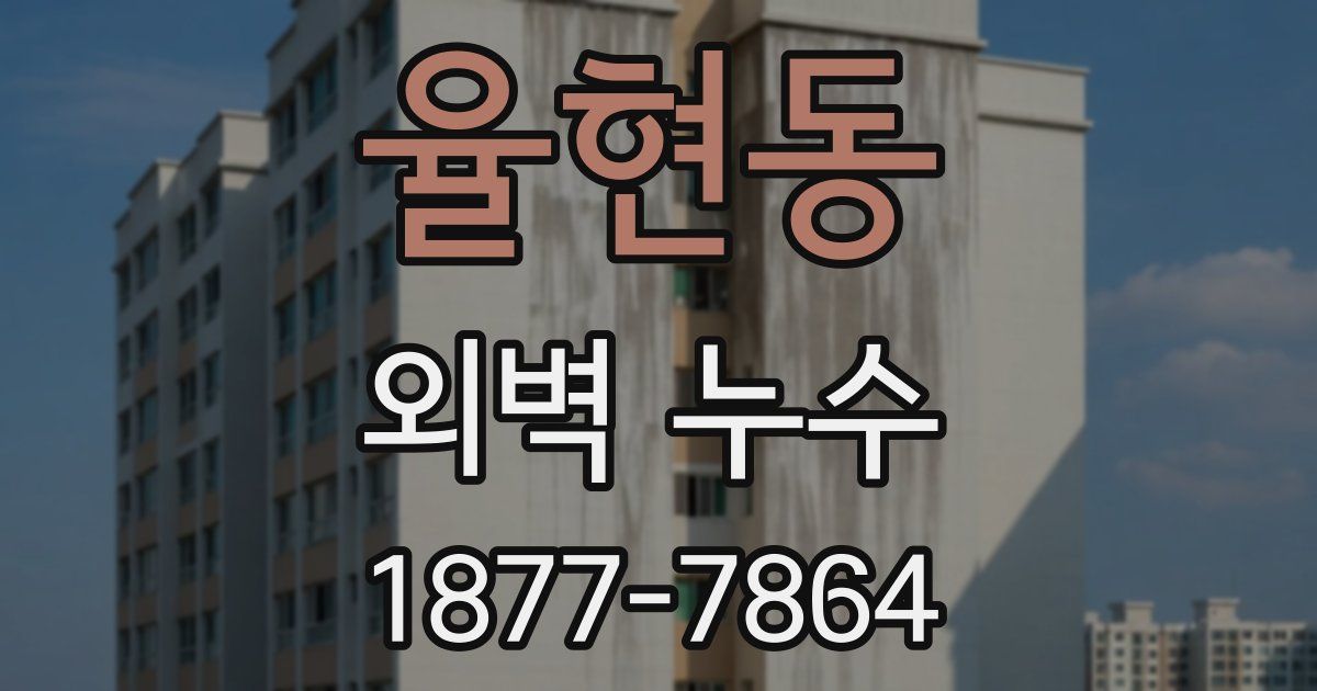 율현동 외벽 누수