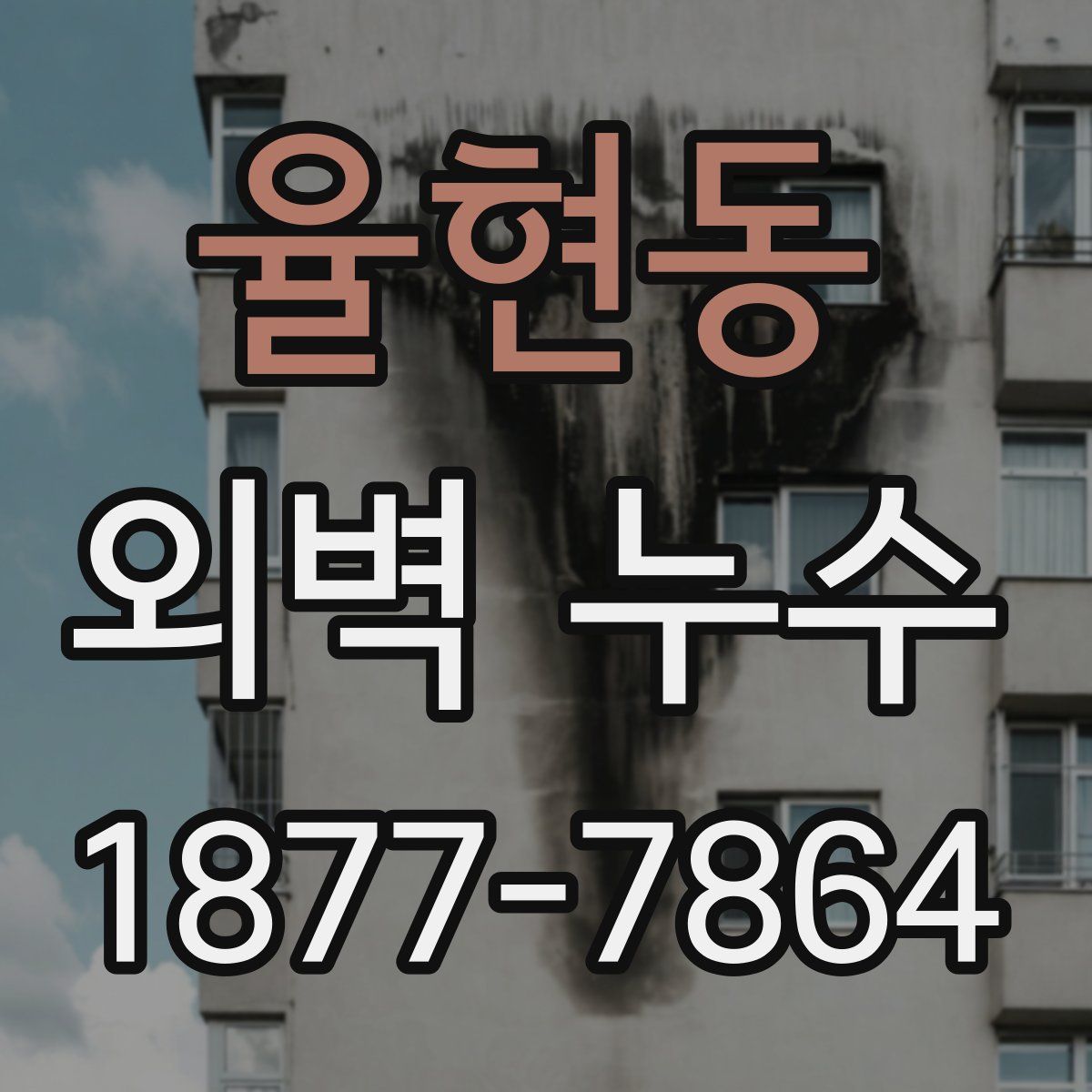 율현동 외벽 누수