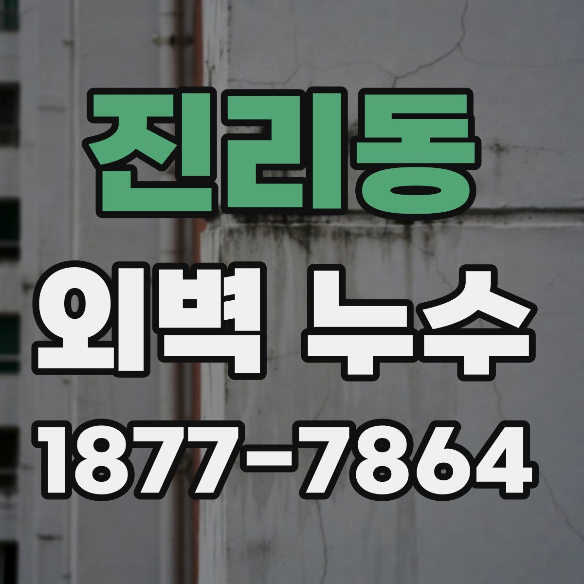 진리동 외벽 누수