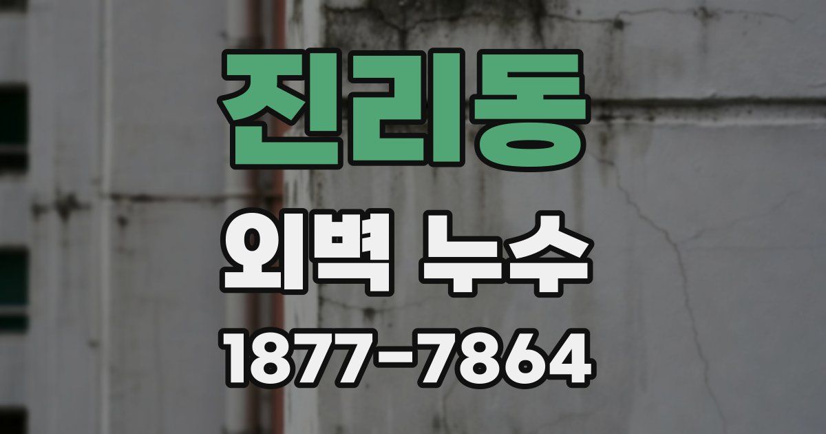 진리동 외벽 누수