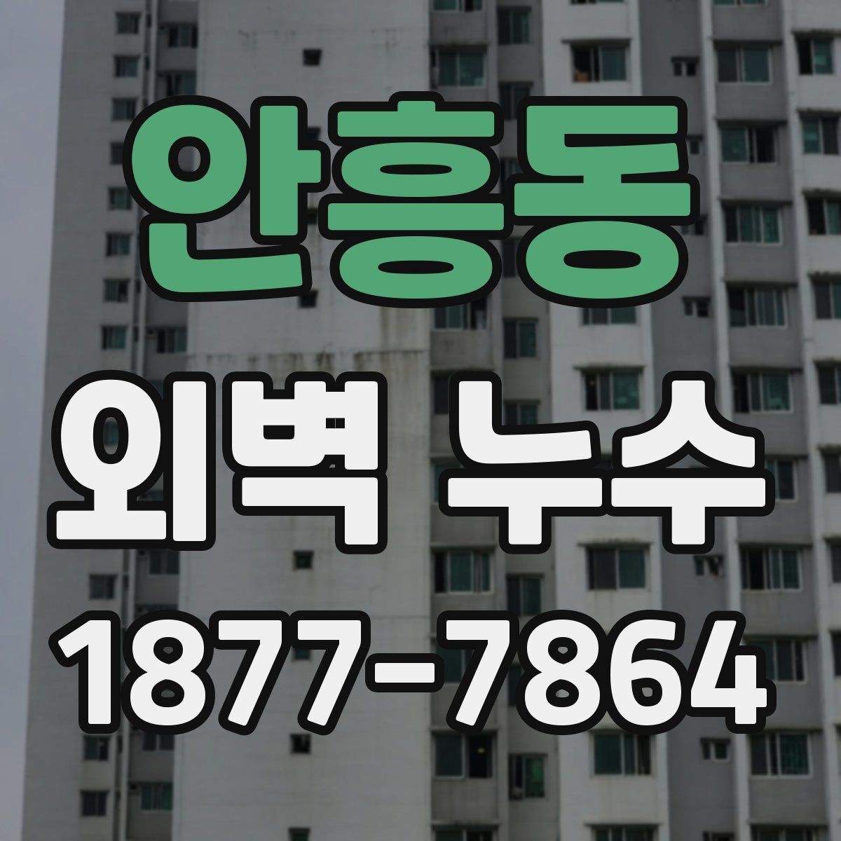 안흥동 외벽 누수 진단 시 자주 확인하는 항목