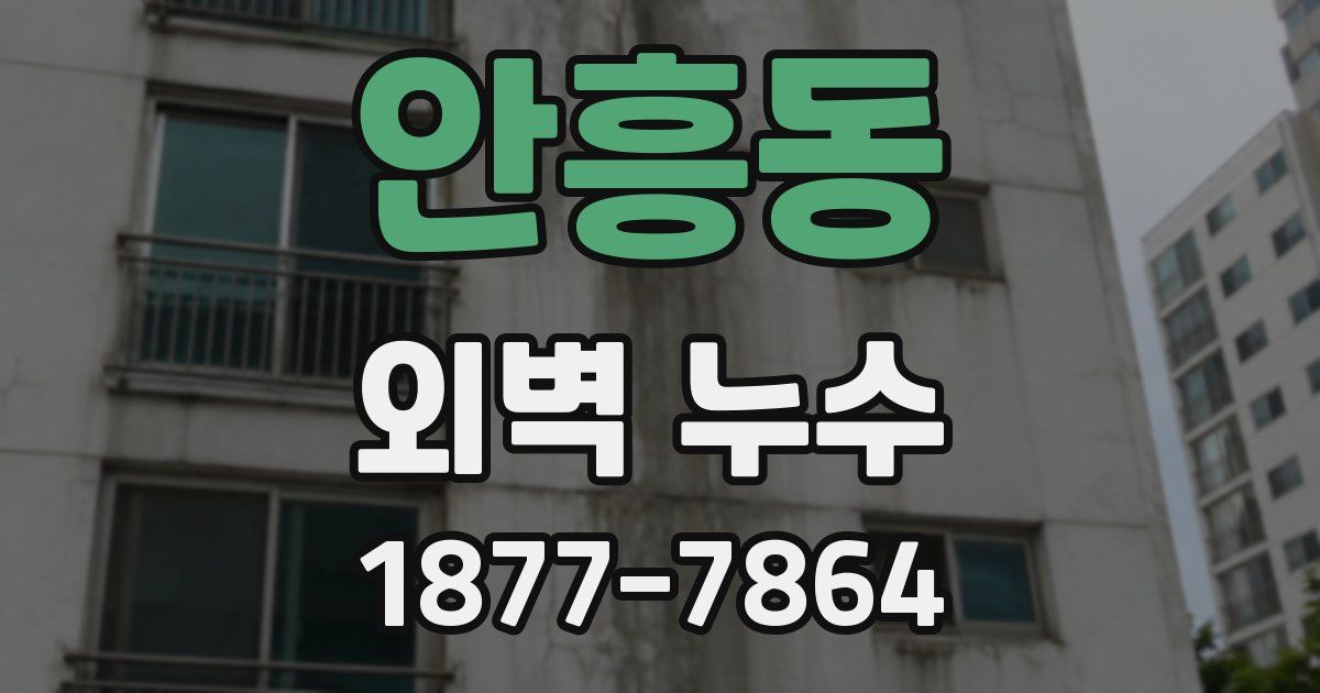 안흥동 외벽 누수