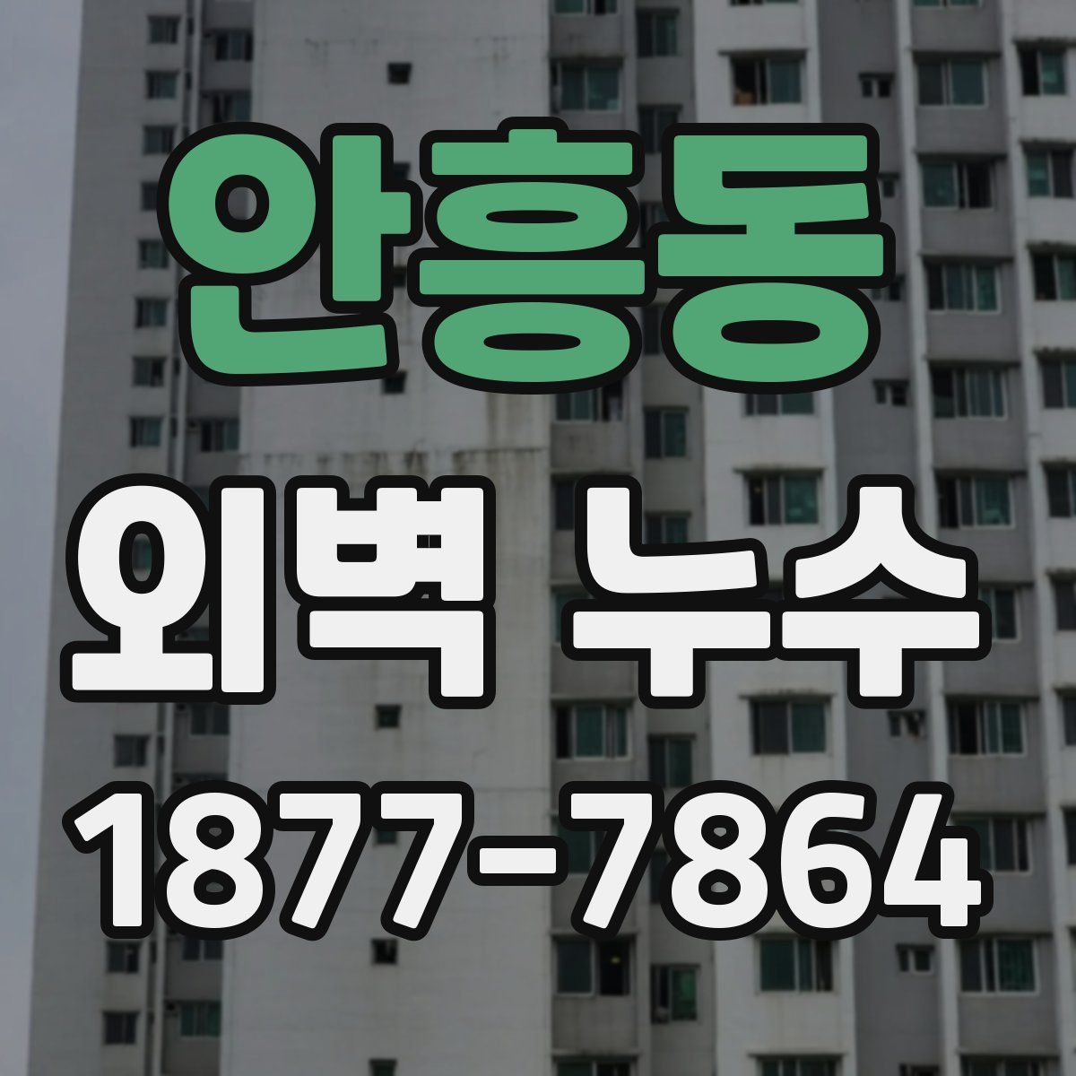안흥동 외벽 누수