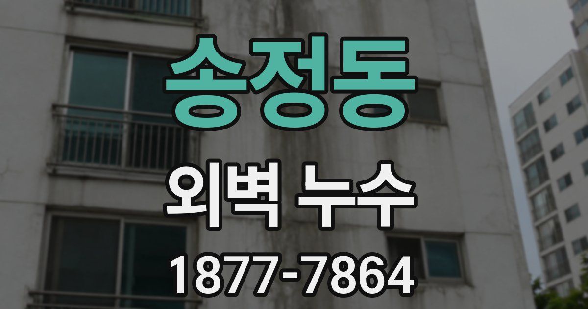 송정동 외벽 누수