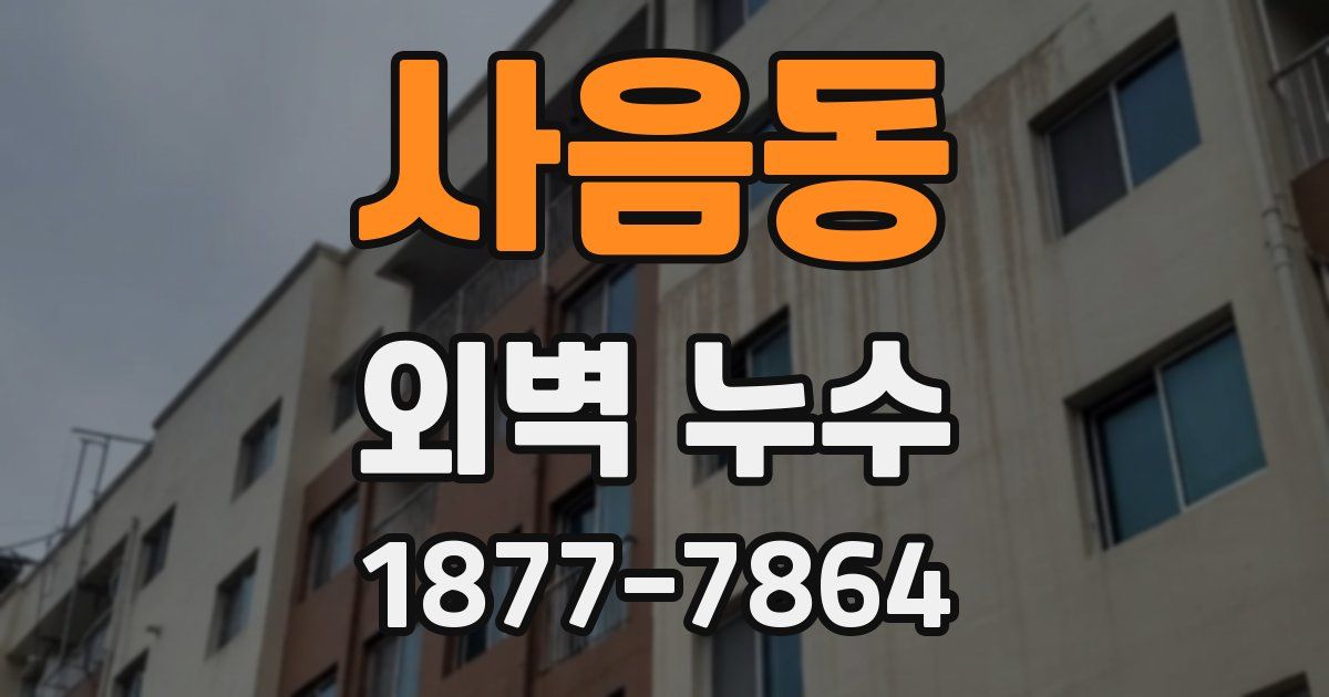 사음동 외벽 누수