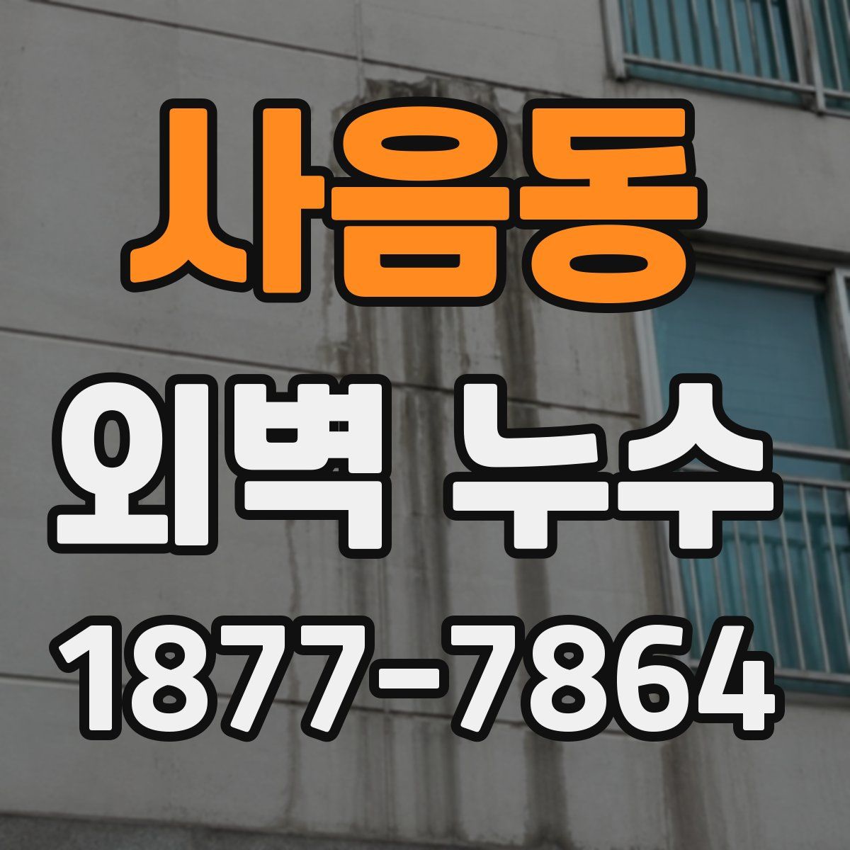 사음동 외벽 누수