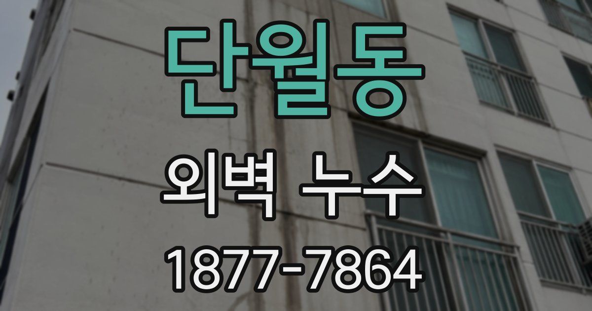 단월동 외벽 누수
