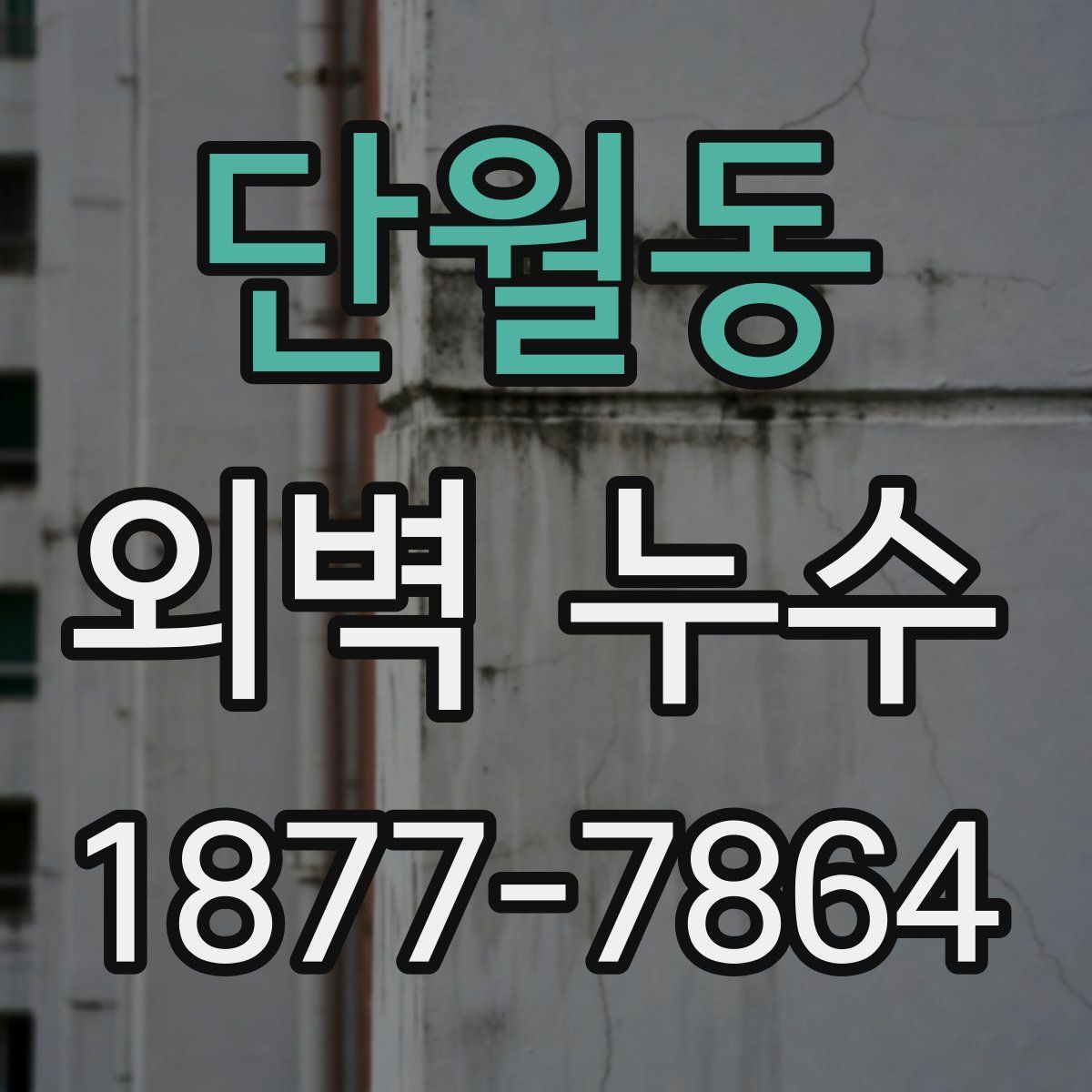 단월동 외벽 누수