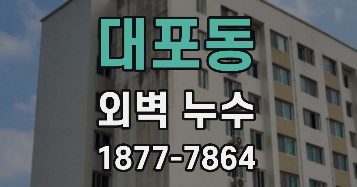 대포동 외벽 누수