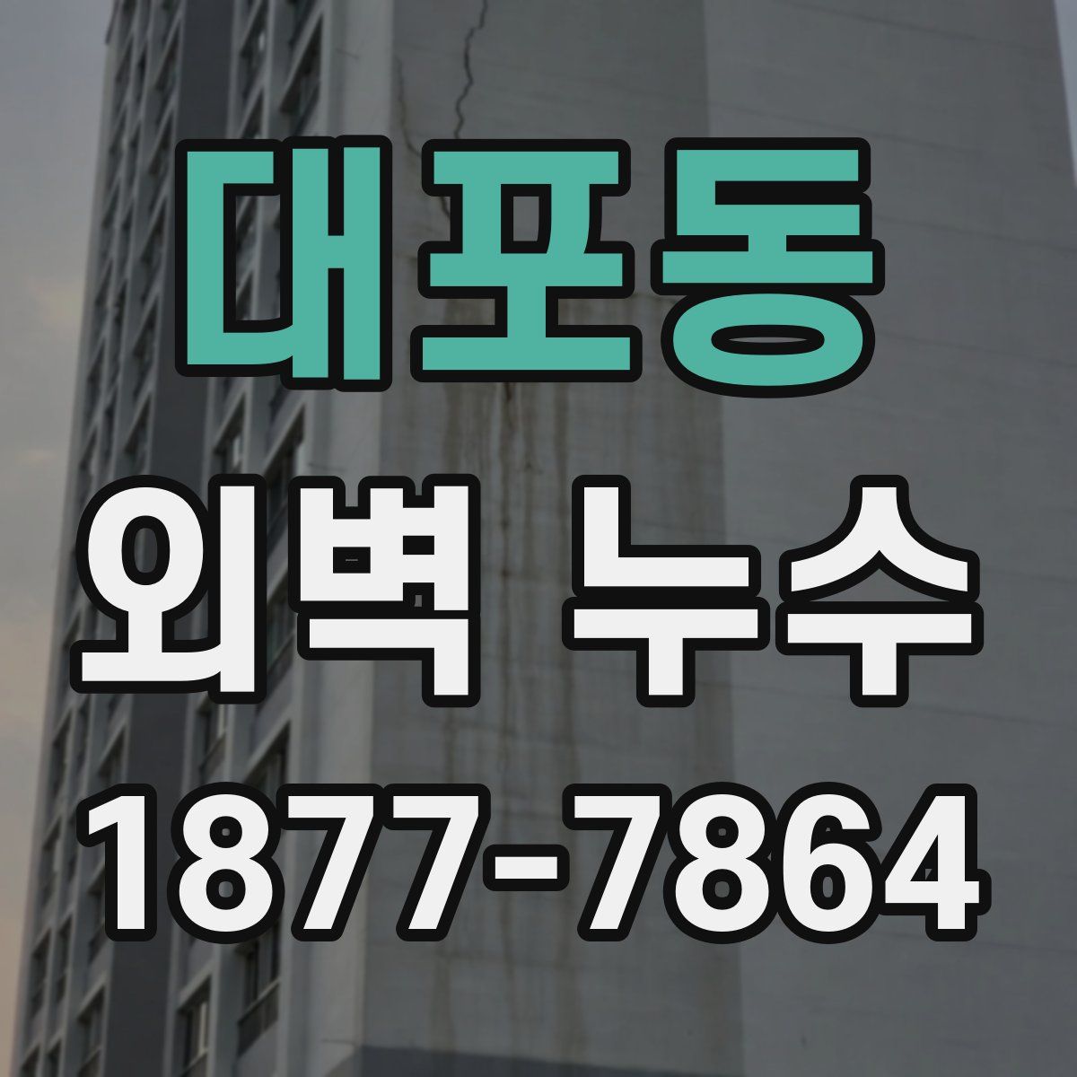 대포동 외벽 누수