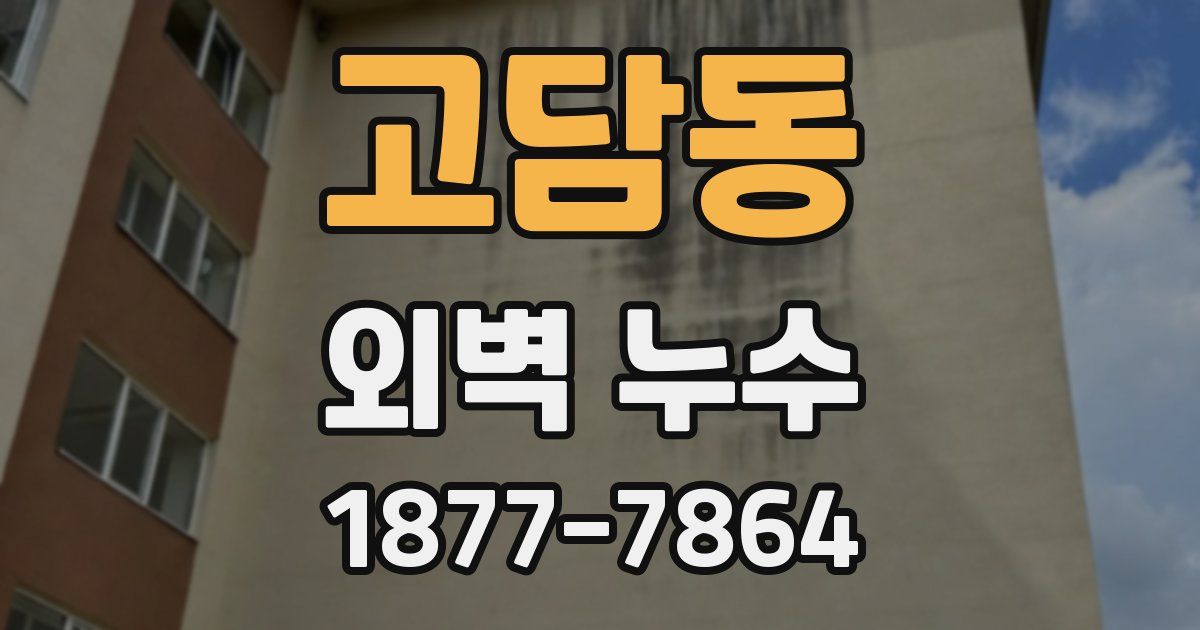 고담동 외벽 누수