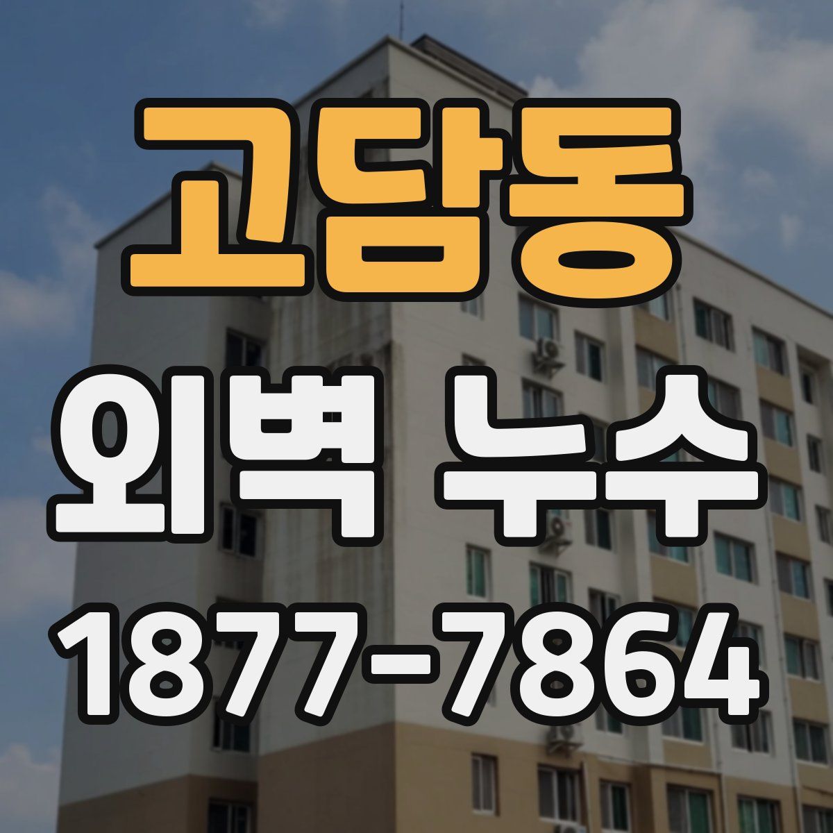고담동 외벽 누수
