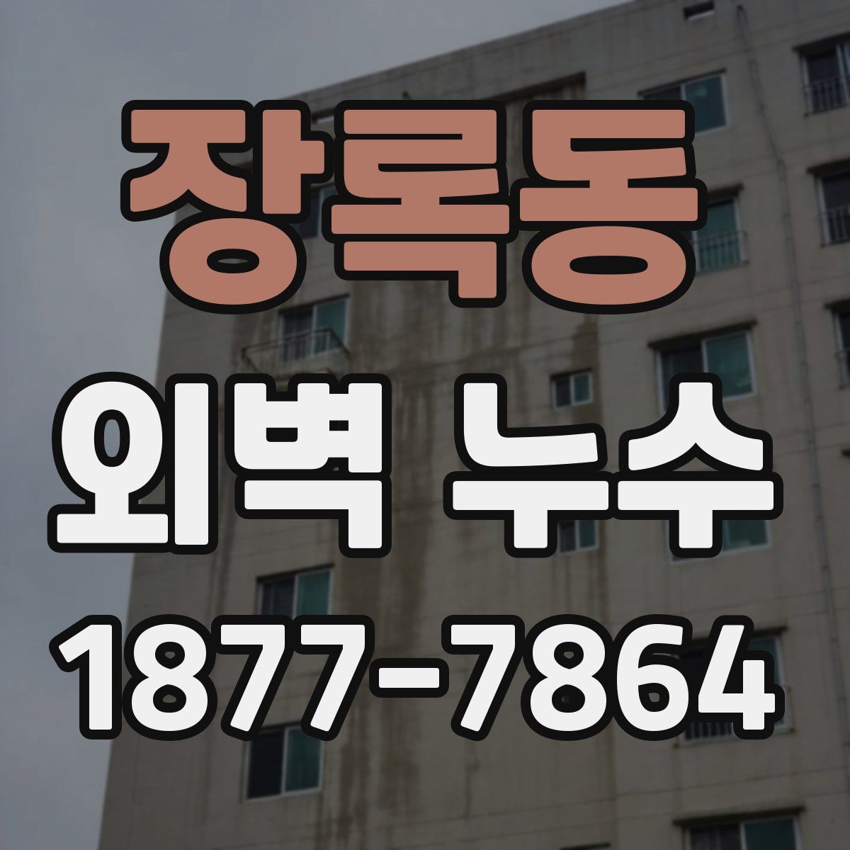 장록동 외벽 누수