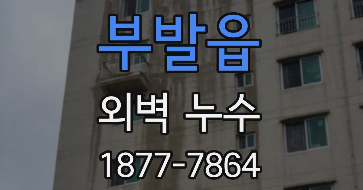 부발읍 외벽 누수