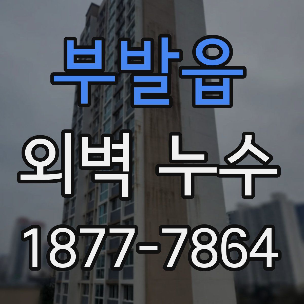 부발읍 외벽 누수