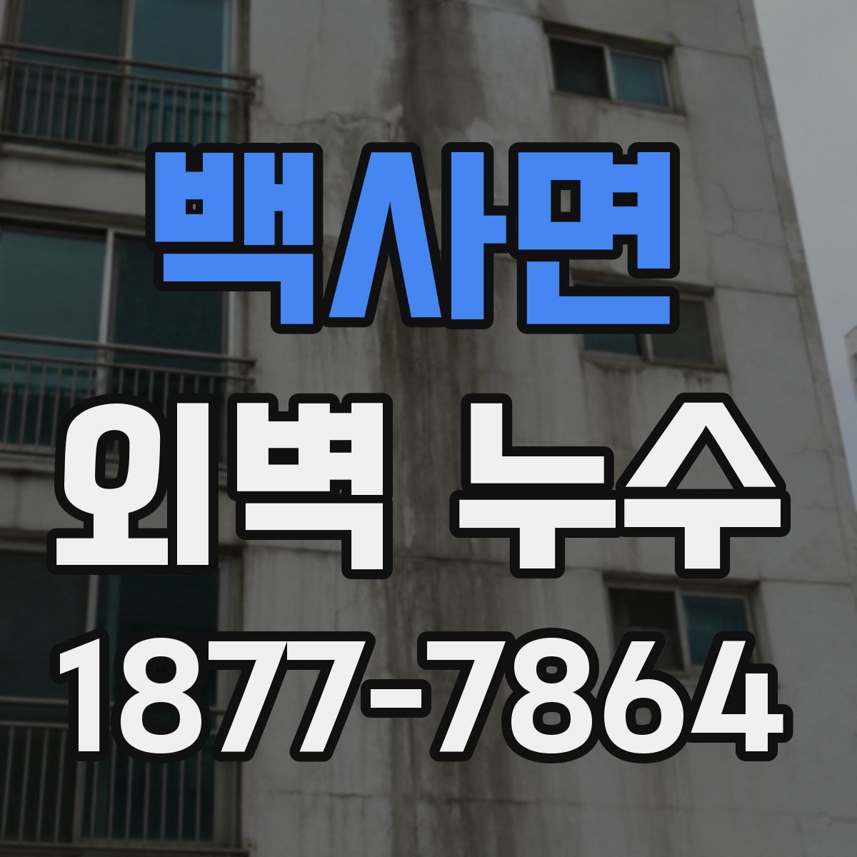 백사면 외벽 누수