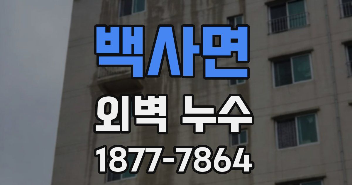 백사면 외벽 누수