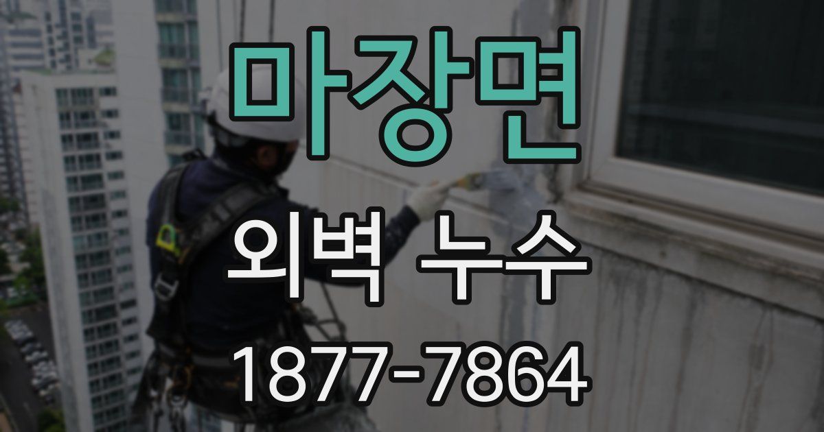 마장면 외벽 누수