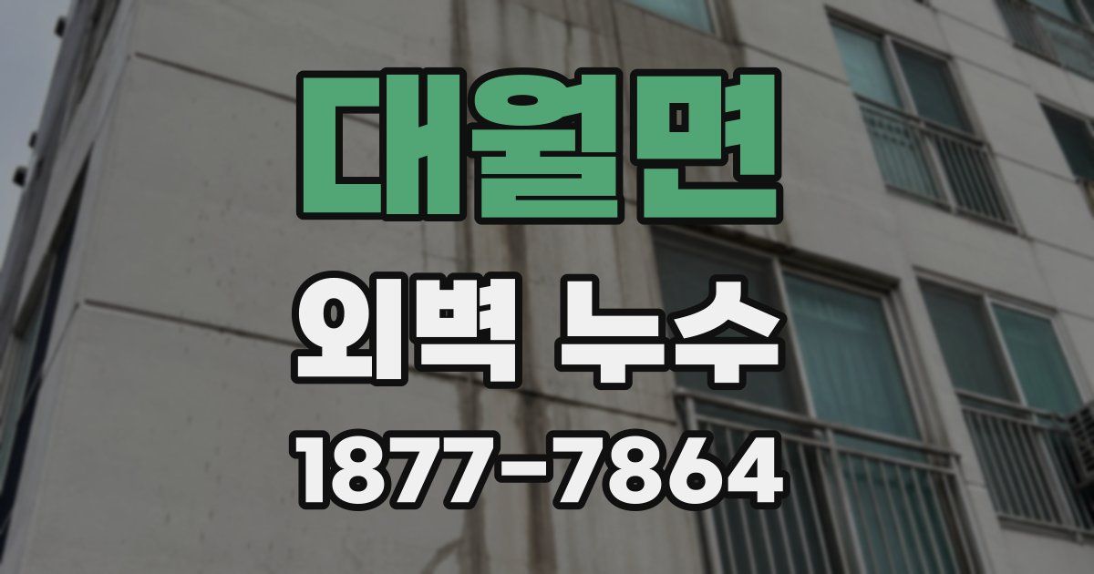 대월면 외벽 누수