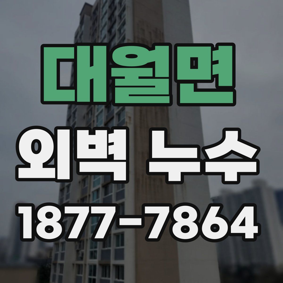 대월면 외벽 누수