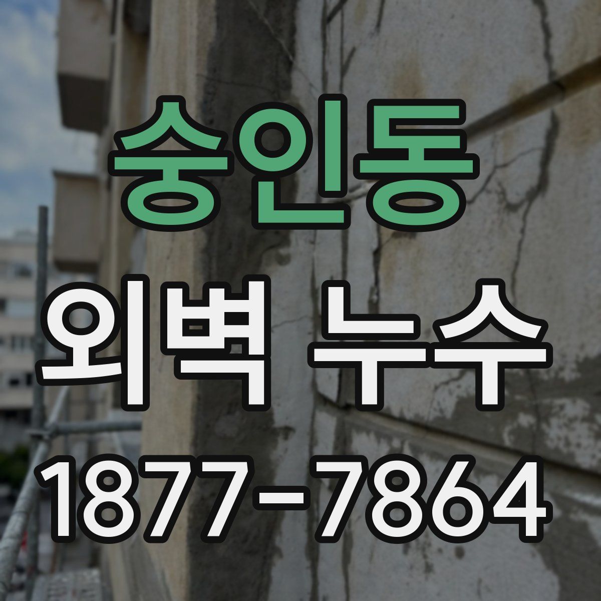 숭인동 외벽 누수