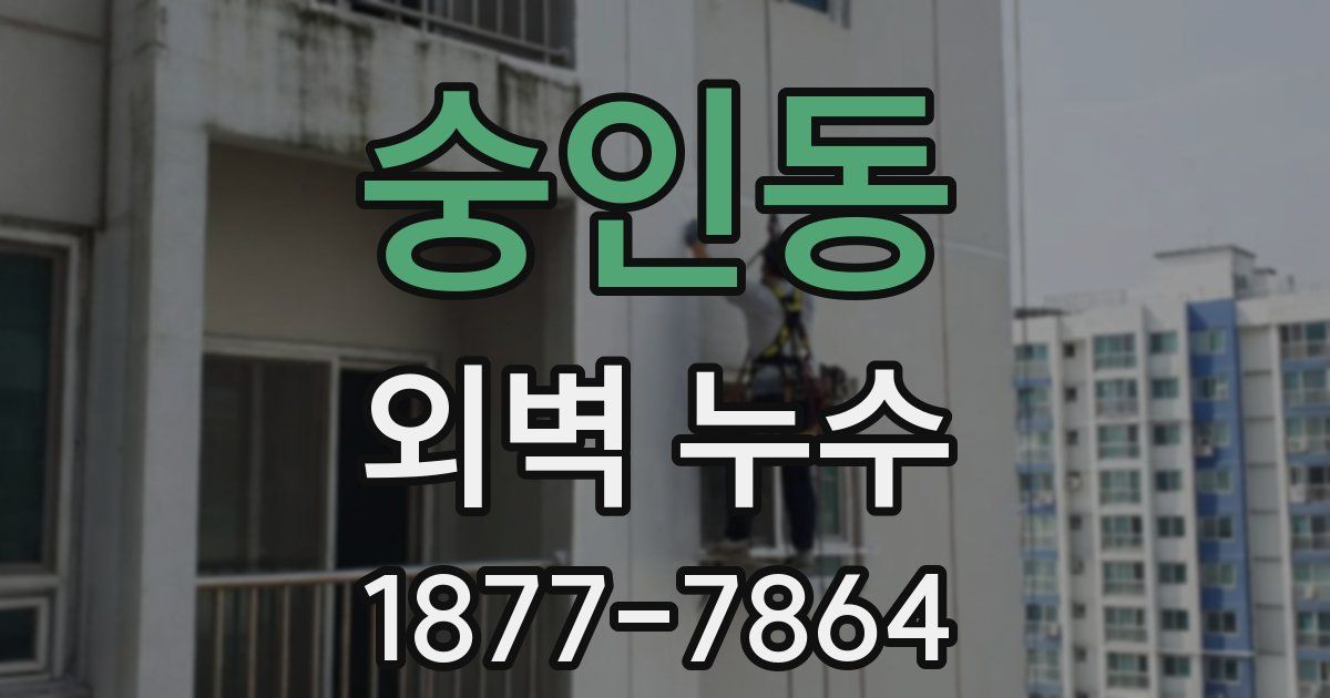 숭인동 외벽 누수