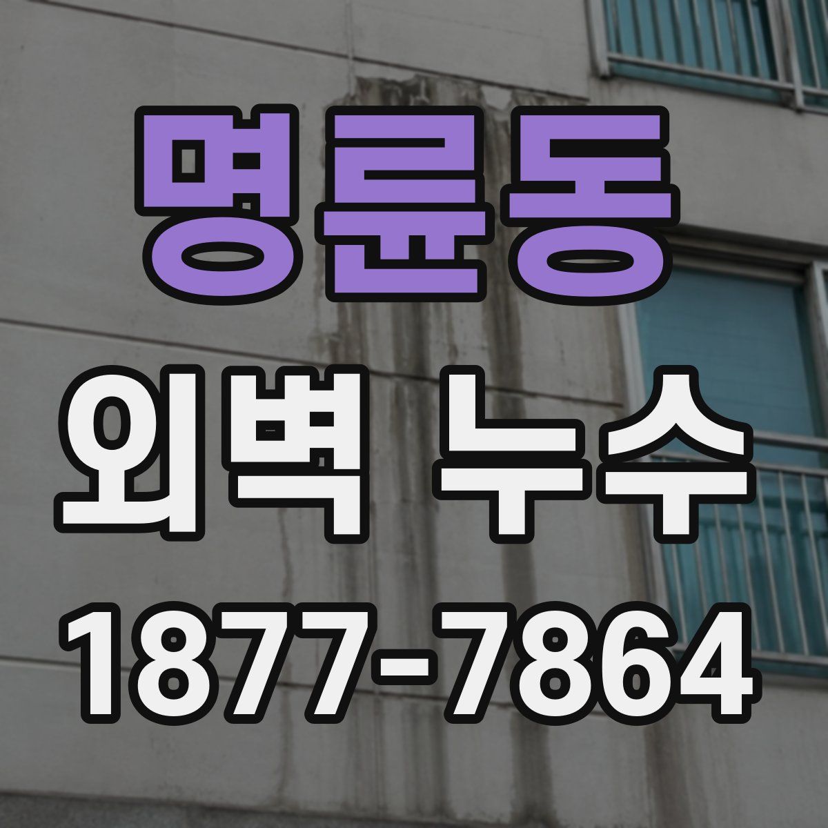 명륜동 외벽 누수