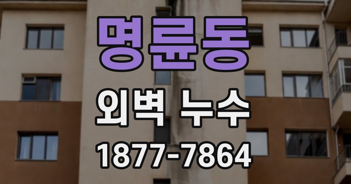 명륜동 외벽 누수