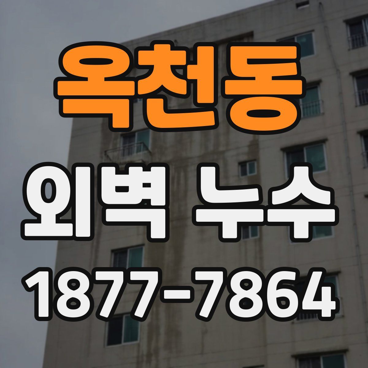 옥천동 외벽 누수
