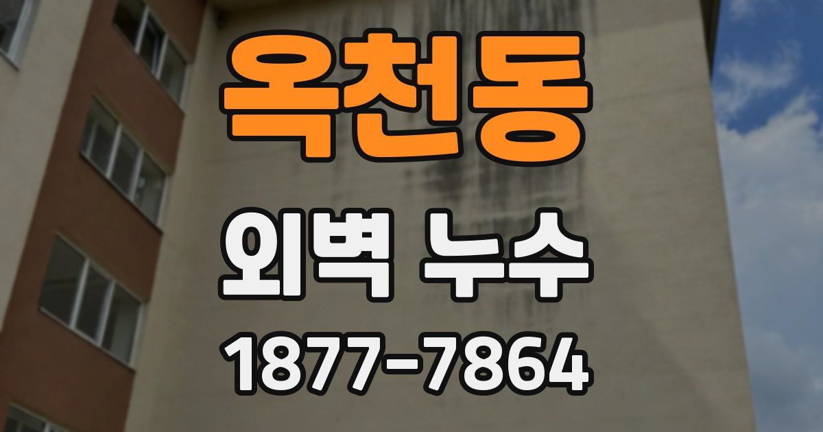 옥천동 외벽 누수