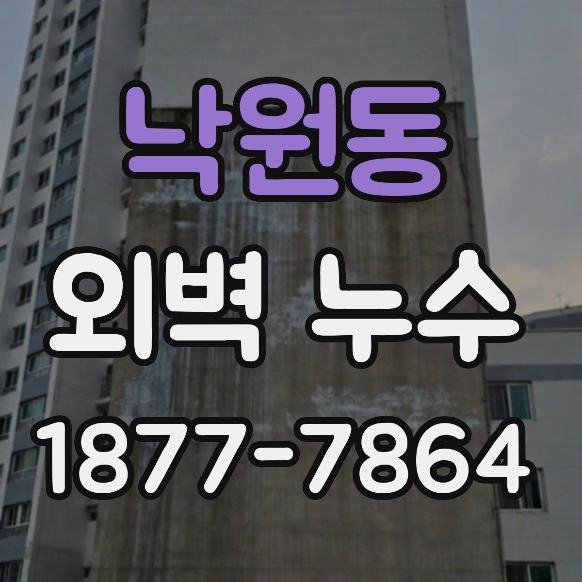 낙원동 외벽 누수