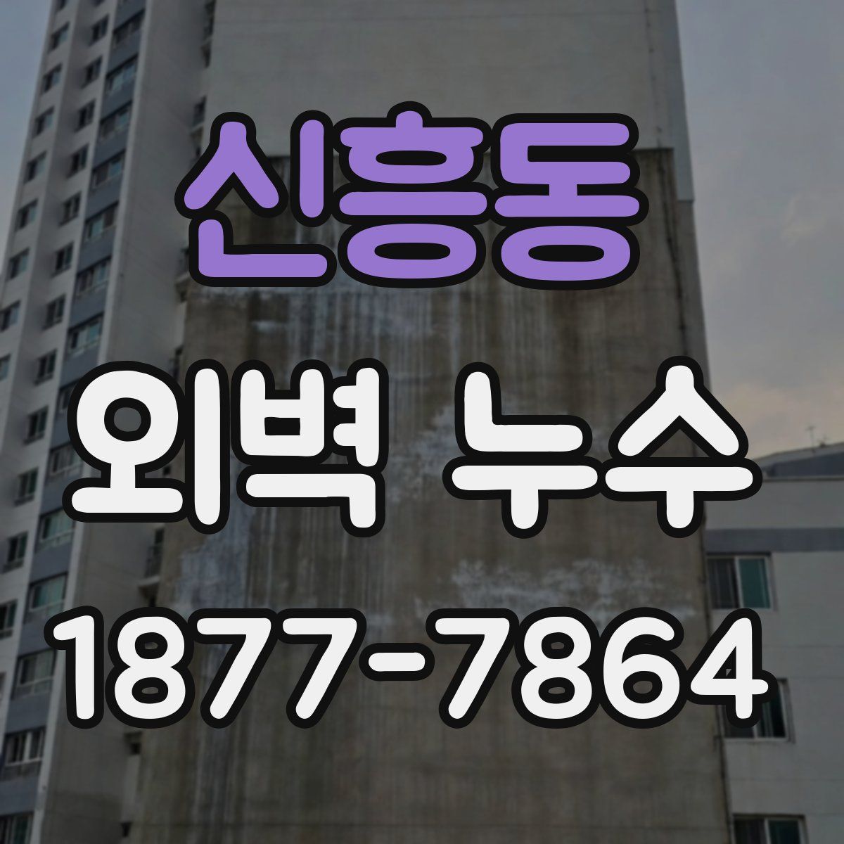 신흥동 외벽 누수