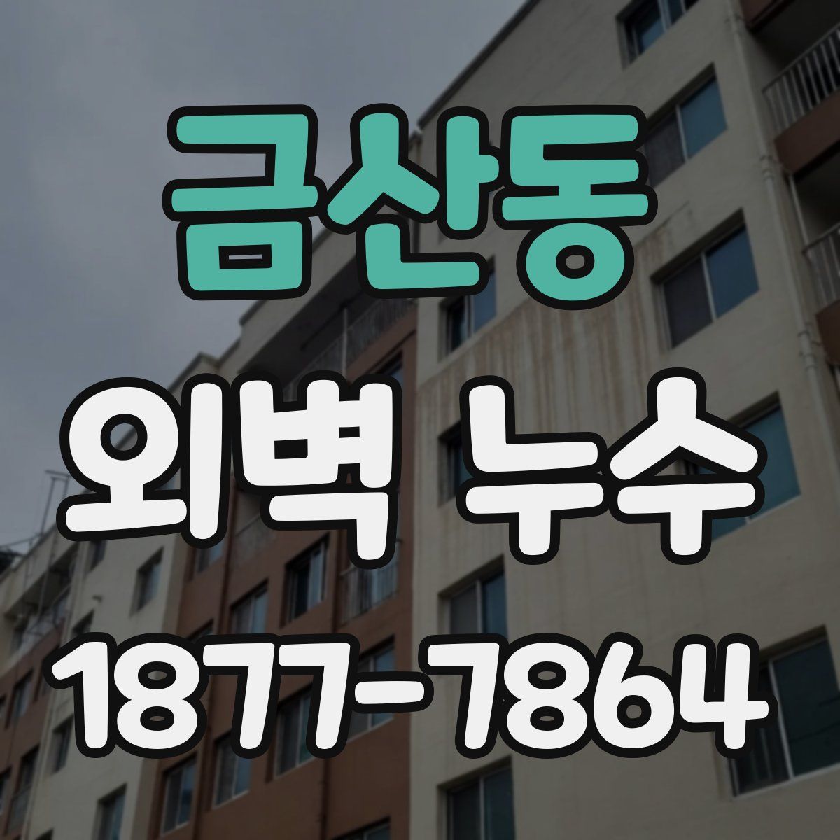 금산동 외벽 누수