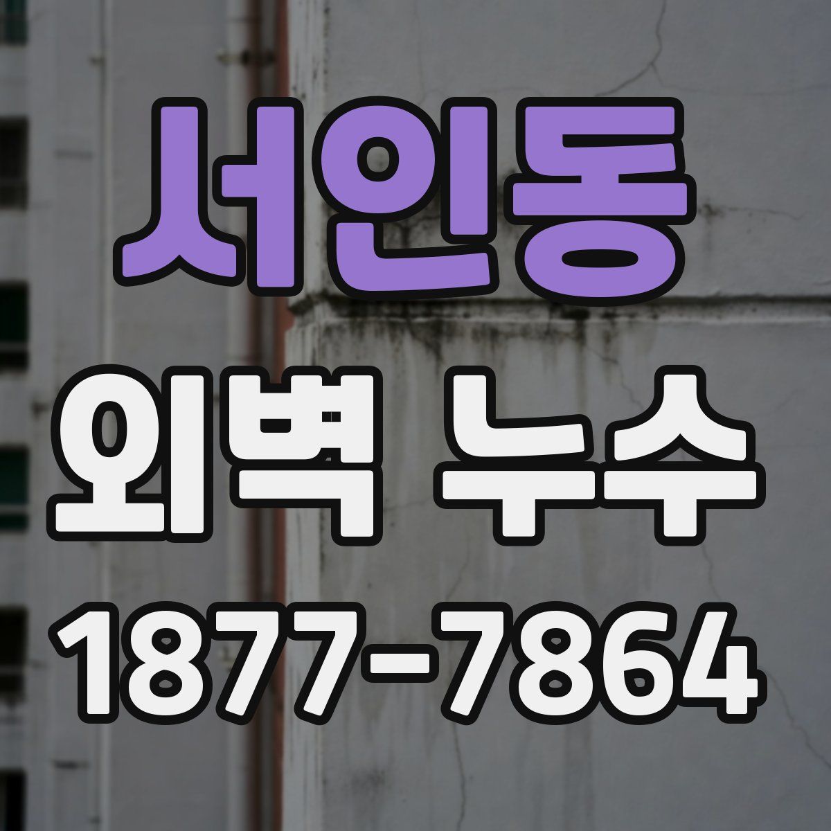 서인동 외벽 누수