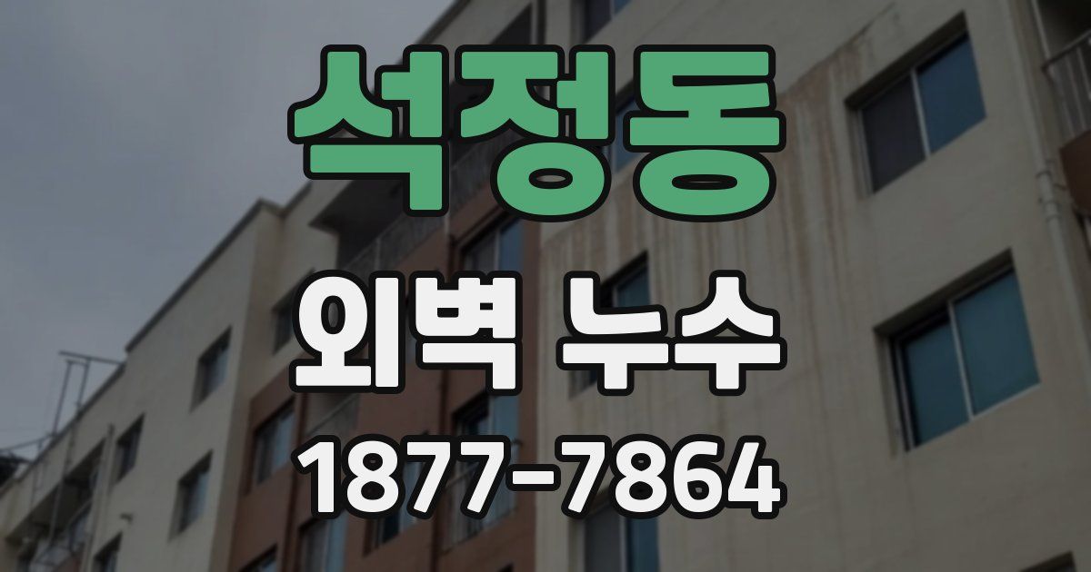 석정동 외벽 누수